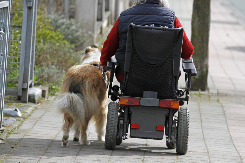 LPF Hund Urheber Antje Lindert Rottke 87313657 S